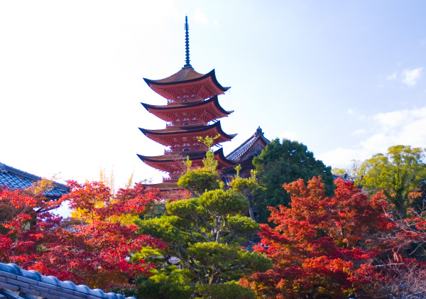 Miyajima Natural Botanical Garden3